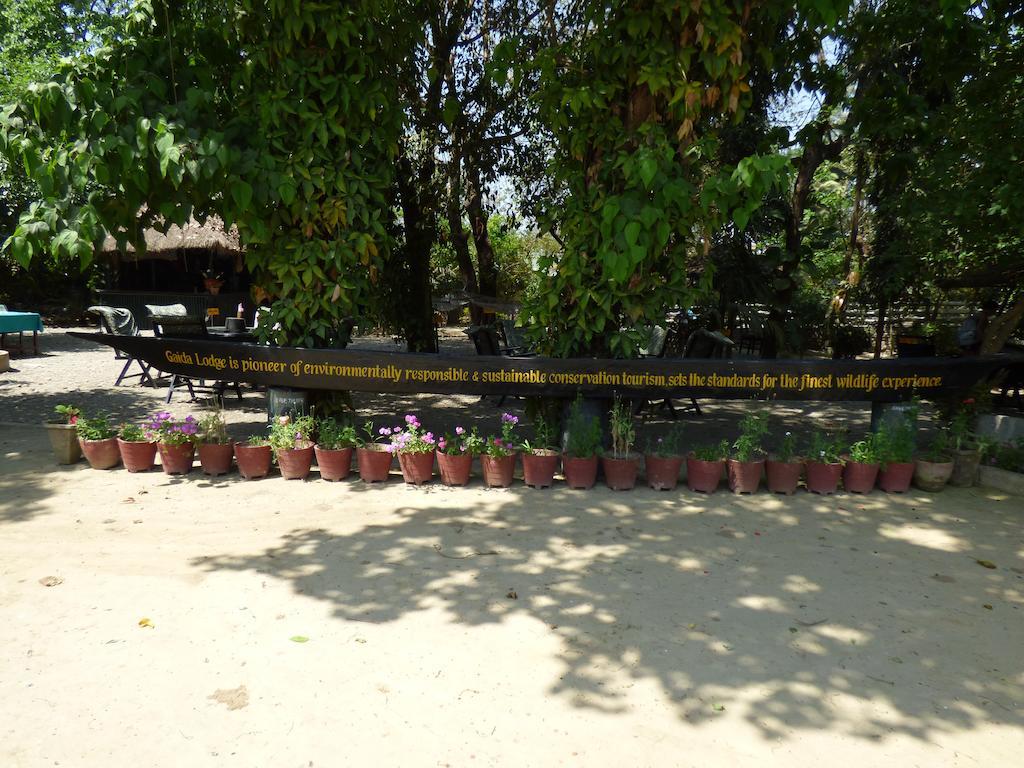 Chitwan Gaida Lodge Sauraha Exterior photo