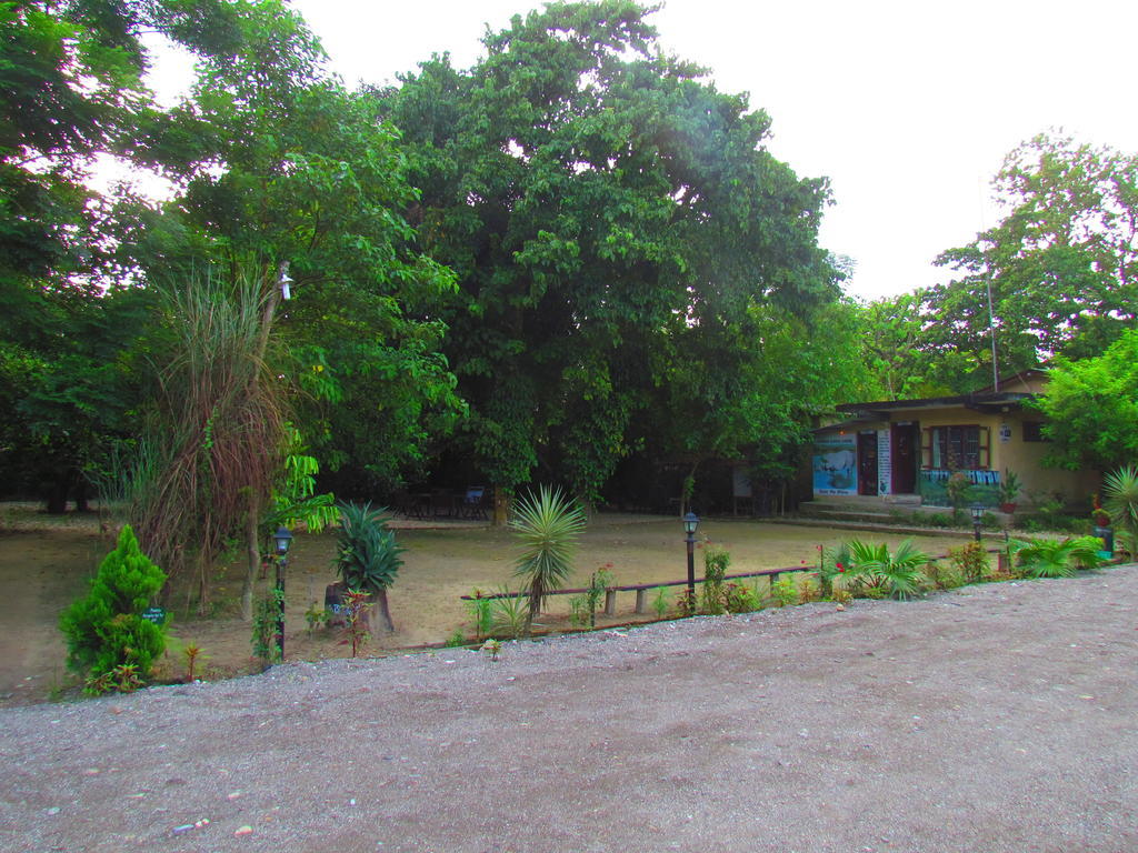 Chitwan Gaida Lodge Sauraha Exterior photo