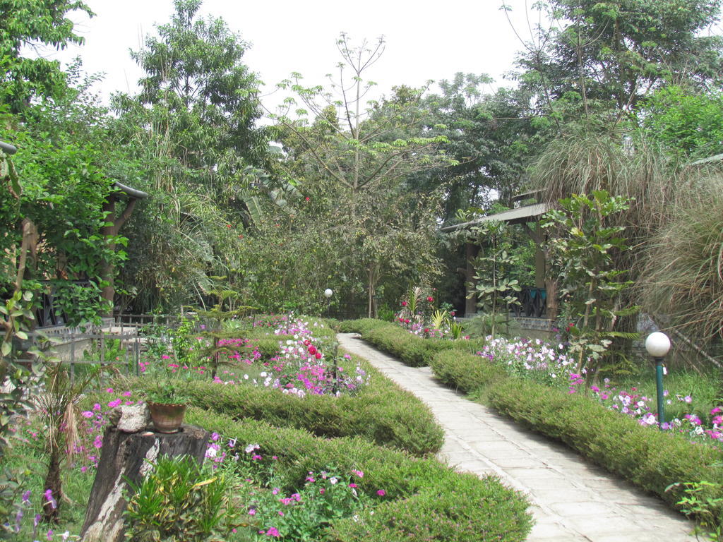 Chitwan Gaida Lodge Sauraha Exterior photo