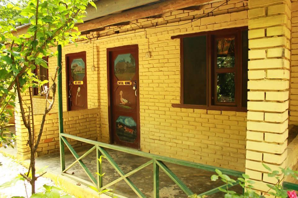 Chitwan Gaida Lodge Sauraha Exterior photo