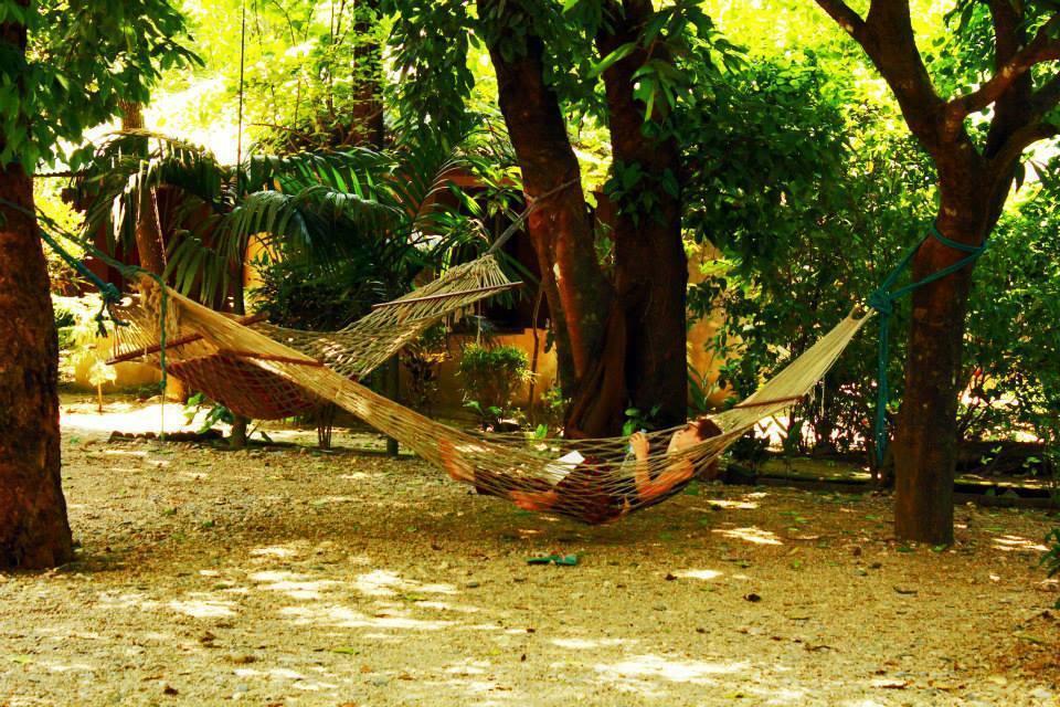 Chitwan Gaida Lodge Sauraha Exterior photo