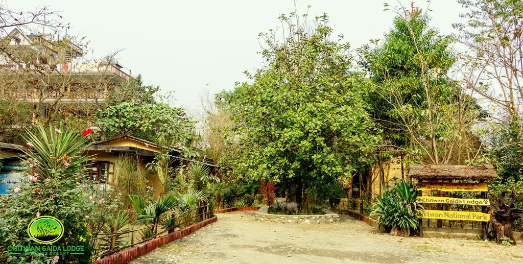 Chitwan Gaida Lodge Sauraha Exterior photo