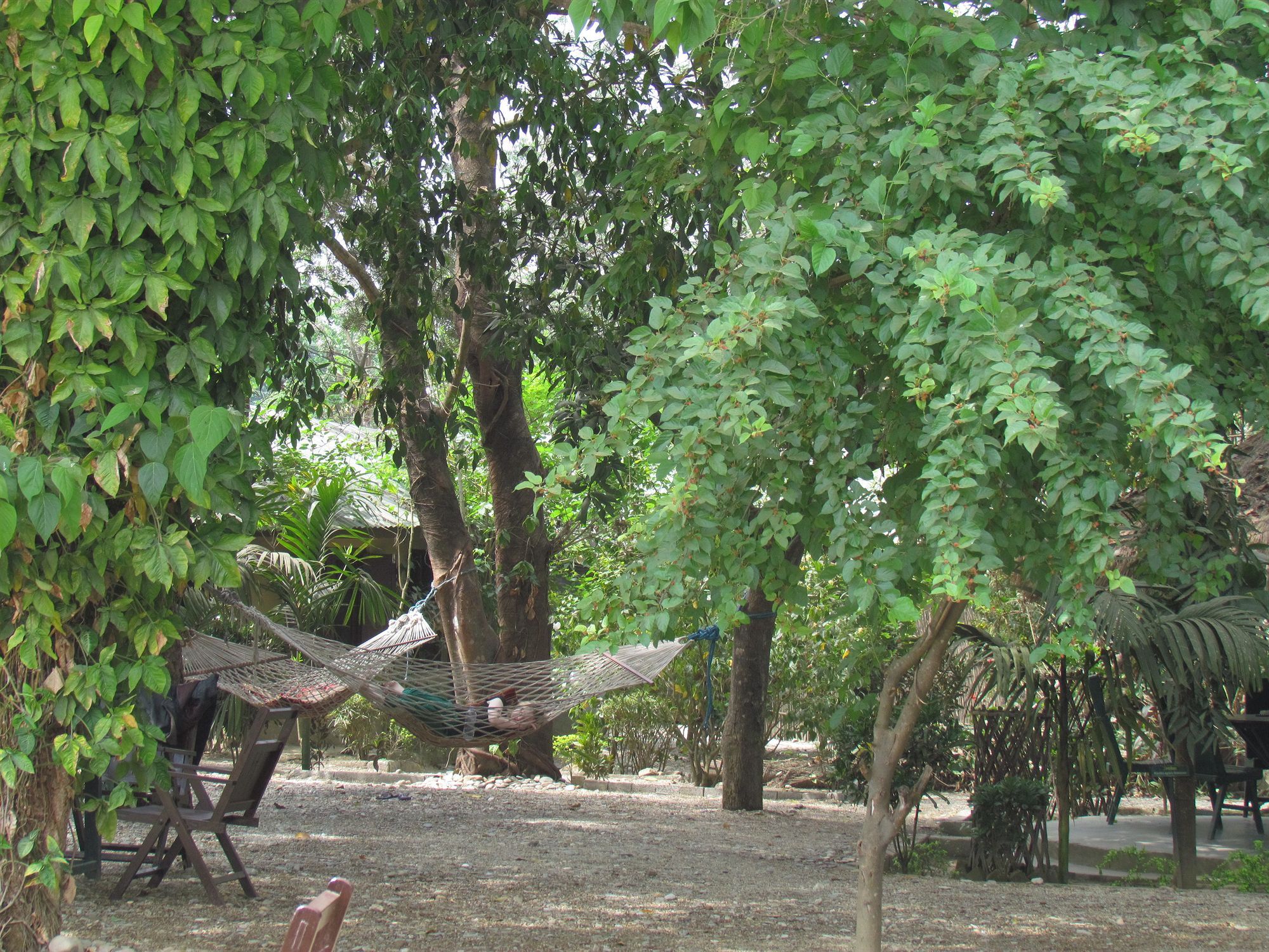Chitwan Gaida Lodge Sauraha Exterior photo